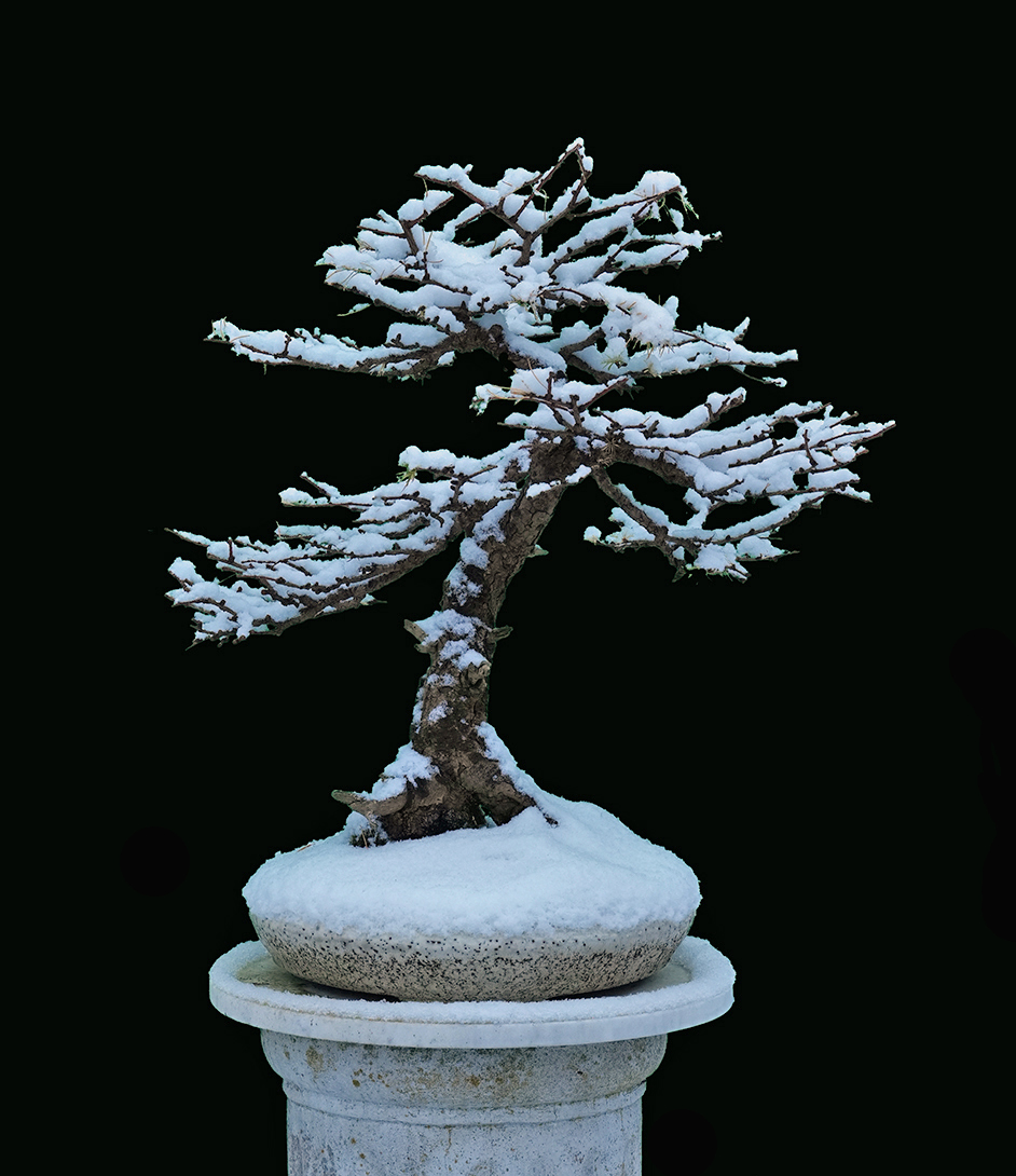 Zen.nl, Zen, meditatie, leren mediteren, foto